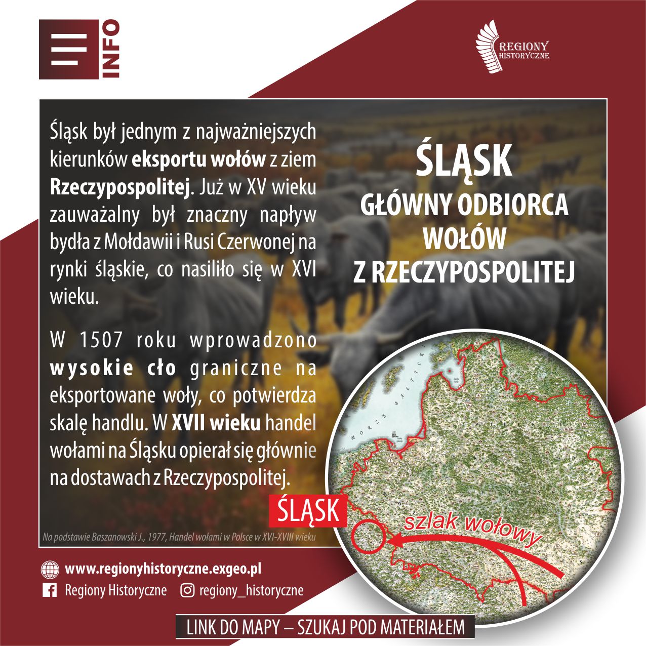 ŚLĄSK | Główny odbiorca wołów z Rzeczypospolitej